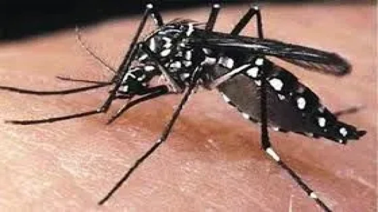 মশাবাহিত রোগ প্রতিরোধে জাতীয় কমিটি