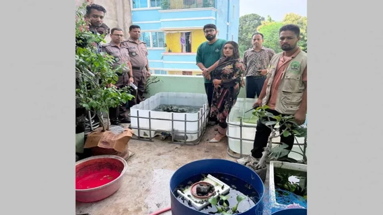 রাজধানীতে বড় অভিযান: ১১০৪ টি বিদেশি বন্যপ্রাণী উদ্ধার, একজন আটক